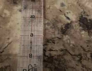 Quilting Treasures - Brown shades tonal