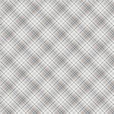 Timeless Treasures - Gray/Blue plaid