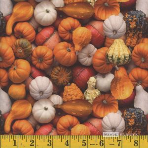 Mook fabrics - fall assorted pumpkins