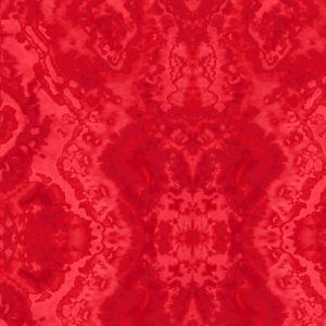 Flannel - AE Nathan comfy prints red