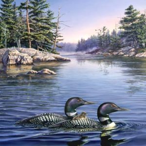 Panel - Loon lake