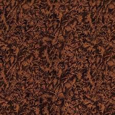 Fairy Frost orange