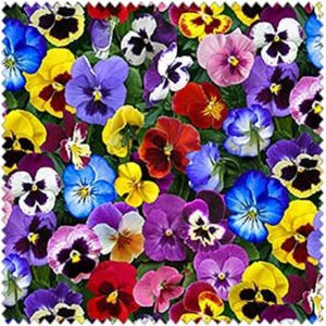 Elizabeth studios - lovely pansies multi color