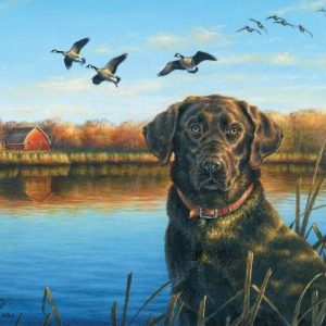 Panel - Fish & Fowl