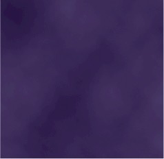 Windham fabrics - gees bend solids 10