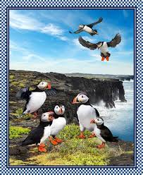 Panel - Landscape puffin