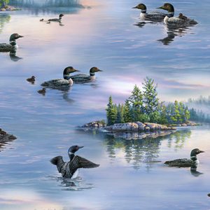 Blue Water Loons