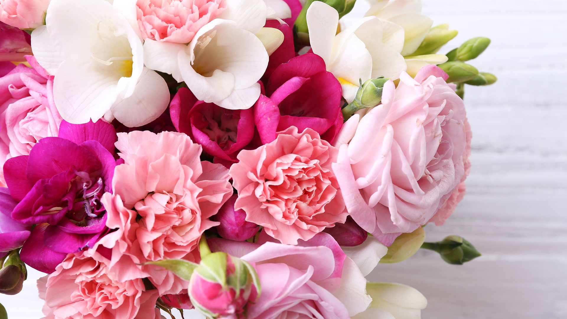 Garden Centre Florist | Your One Stop Shop