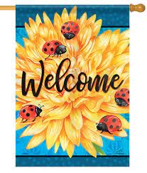 Small double sided flag - Ladybug life