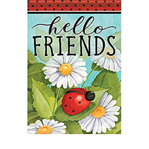 Large double sided flag - Hello friends ladybug