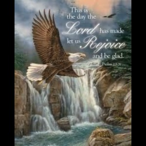 Large double sided flag - Majestic flight