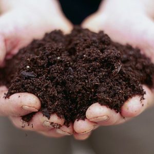 Soil