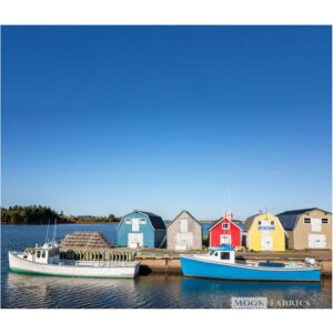 Fishing boats