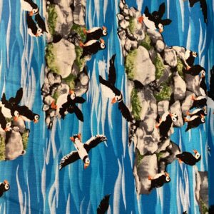 Puffins on rocks