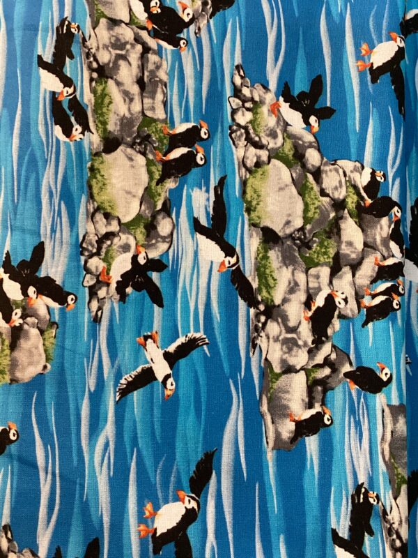 Puffins on rocks