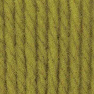 Bernat Softee Chunky 100g - Grass