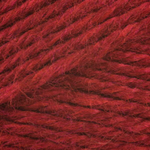 Bernat Softee Chunky 100g - Redwood