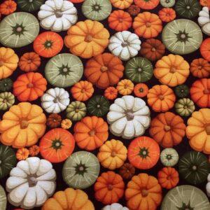 Pumpkin Patch Brown multicolor