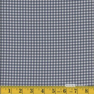 Blenders Gingham Denim