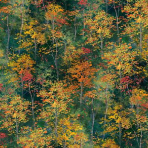 Fall Packed trees