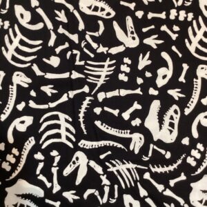Glow in the Dark Dinosaur Bones
