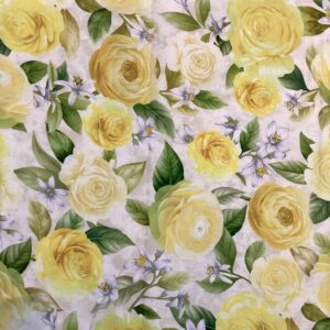 Yellow Roses on White